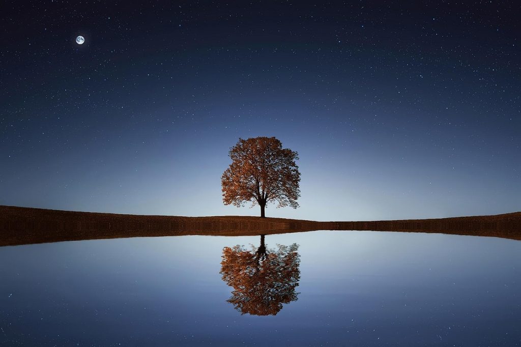tree, lake, stars, reflection, water, calm, tranquil, scene, night sky, nature, beautiful
